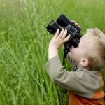 Little boy in high grass searching for Will